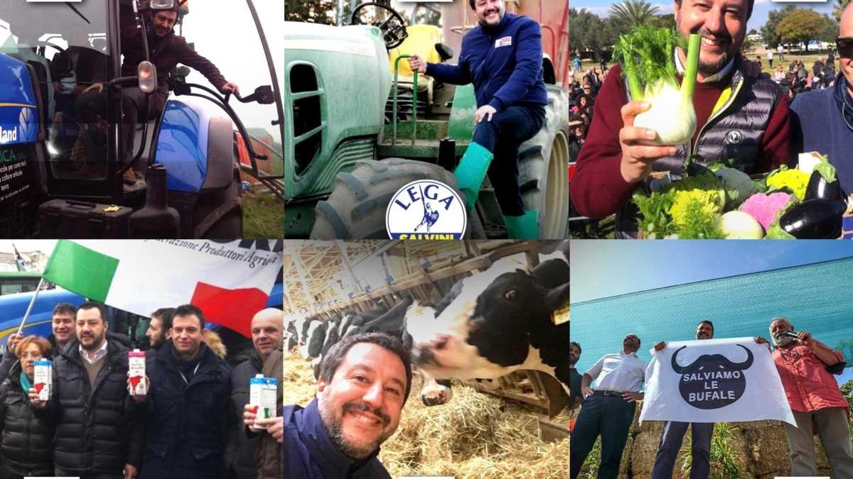 Immagine di Agro-Salvini contro la farina di grilli: se la prende con Masterchef e ruba la scena al ministro Lollobrigida