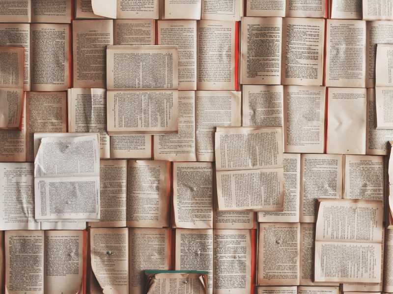 L’esito dell’Occidente è uno stato che vuole educare a tutti i costi i cittadini