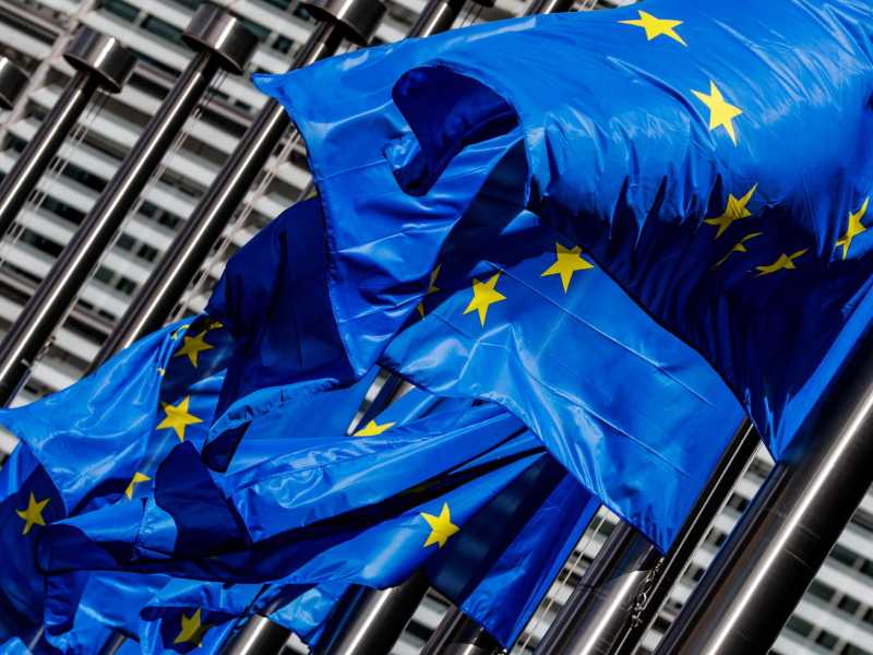  Bandiere dell'Unione Europea - foto Ansa