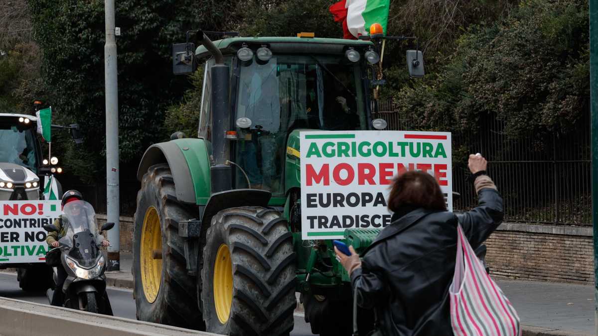 Immagine di Gli agricoltori da Lollobrigida: "Incontro positivo". Tajani: "No a false promesse"