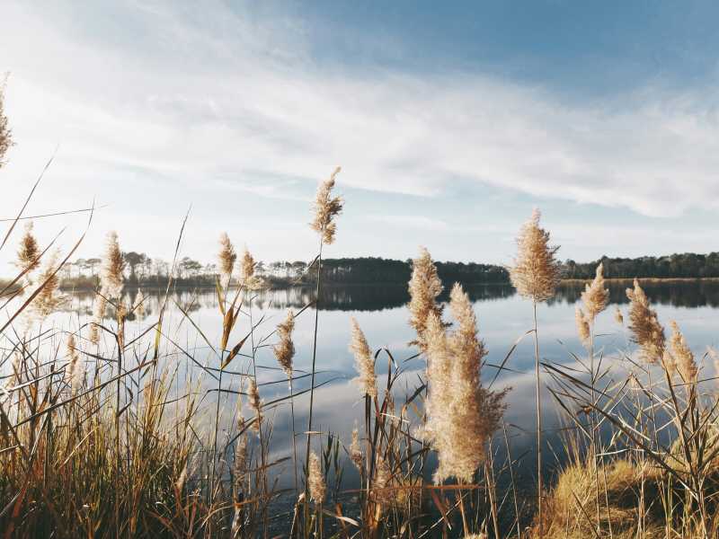 (Unsplash)