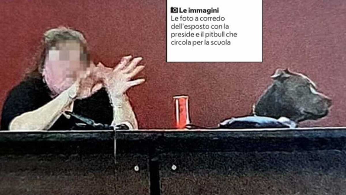 Immagine di Contro-narrazione sulla preside finita alla gogna perché si porta a scuola il pitbull