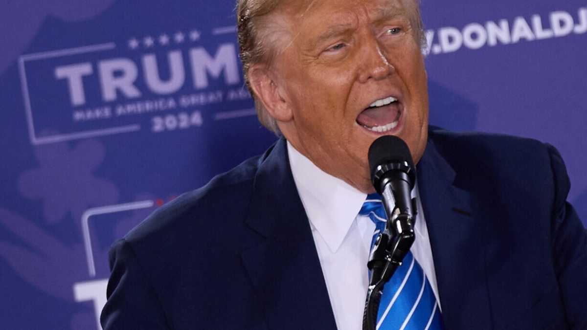 Immagine di La vita di Trump in tribunale