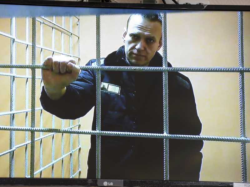 Navalny parla da una prigione in collegamento video durante un'udienza di tribunale a Petushki, in  Russia (foto LaPresse/Denis Kaminev)&nbsp;<br />