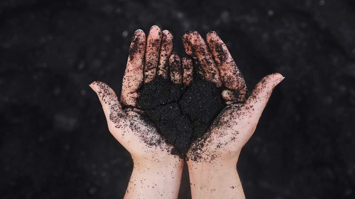 Immagine di Silvia Avallone indaga il cuore nero e il male