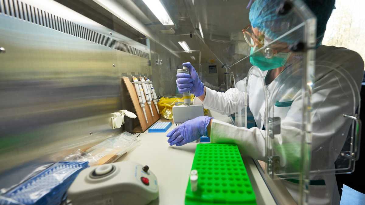 Immagine di Molto prima dei vaccini anticovid, anche altri esseri viventi scambiavano messaggi usando l'Rna