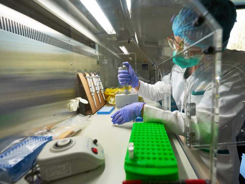 Molto prima dei vaccini anticovid, anche altri esseri viventi scambiavano messaggi usando l'Rna