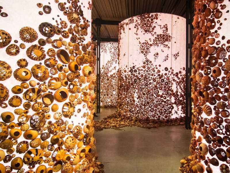  Un'esposizione alla Biennale di Venezia