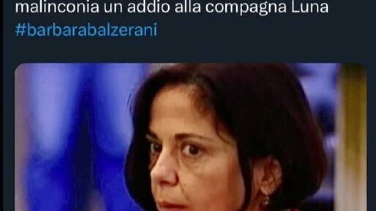 Immagine di La prof. Di Cesare celebra l'ex brigatista Balzerani e poi rimuove il post: "Stupida per la bufera"
