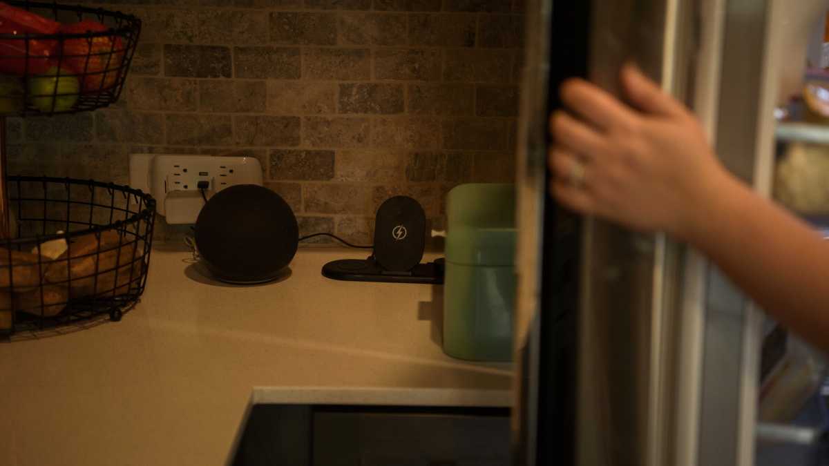 Immagine di Lo strano assunto per cui i trogloditi dovrebbero farsi educare da Alexa