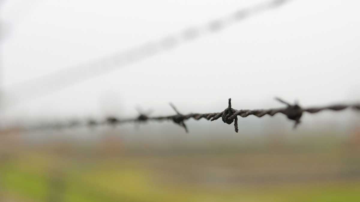Immagine di L’ostetrica che ad Auschwitz fece nascere tremila bambini