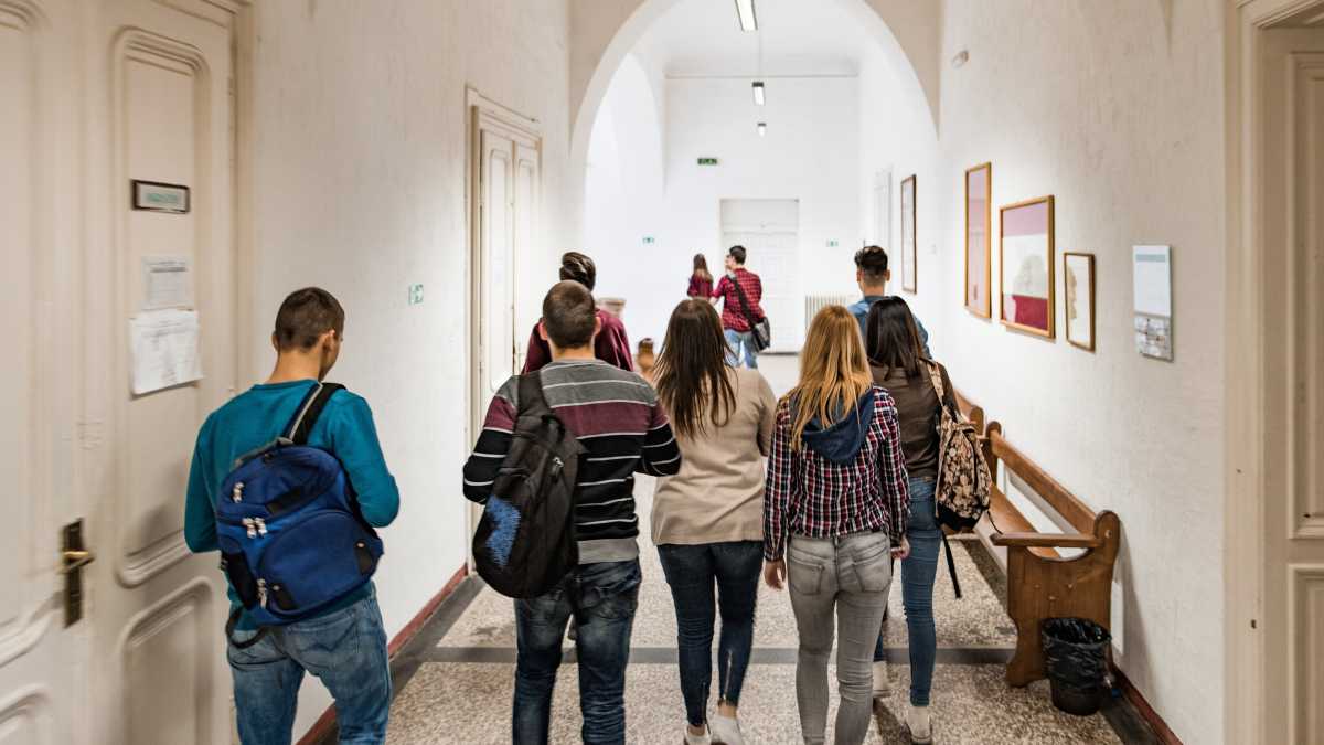 Immagine di La provincia della giovinezza, ovvero avere le ali un po’ prima di  volare