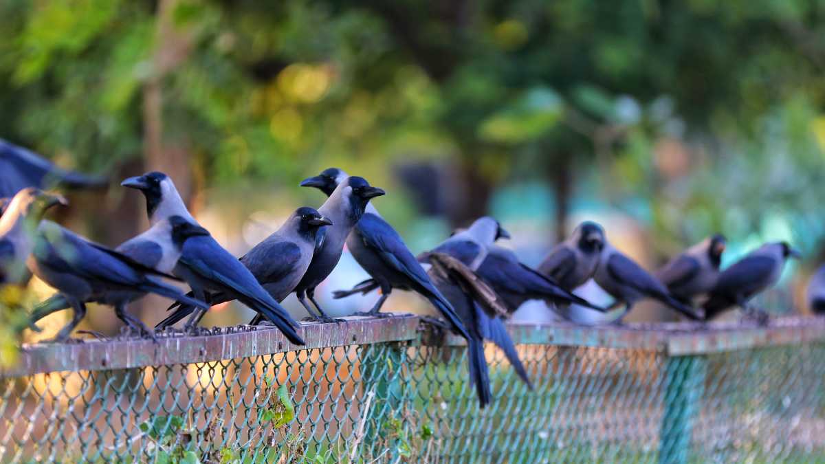 Immagine di Combattere la disinformazione è parte di una corsa agli armamenti evolutiva