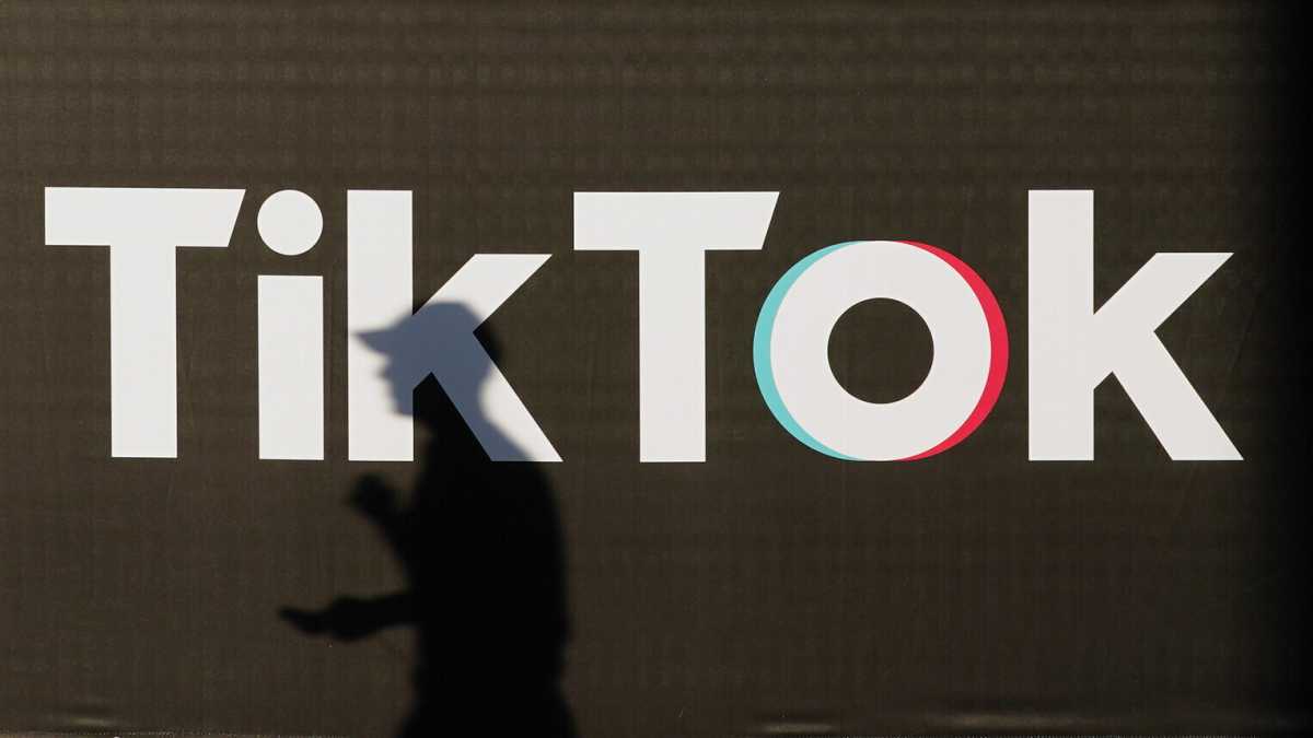 Immagine di Il rischio disinformazione su TikTok, dove spopolano i candidati di destra alle europee