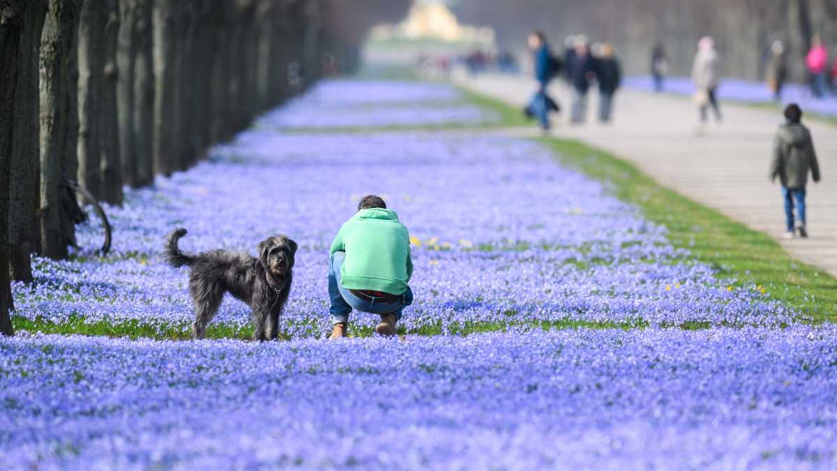 Immagine di La luce di marzo: è primavera