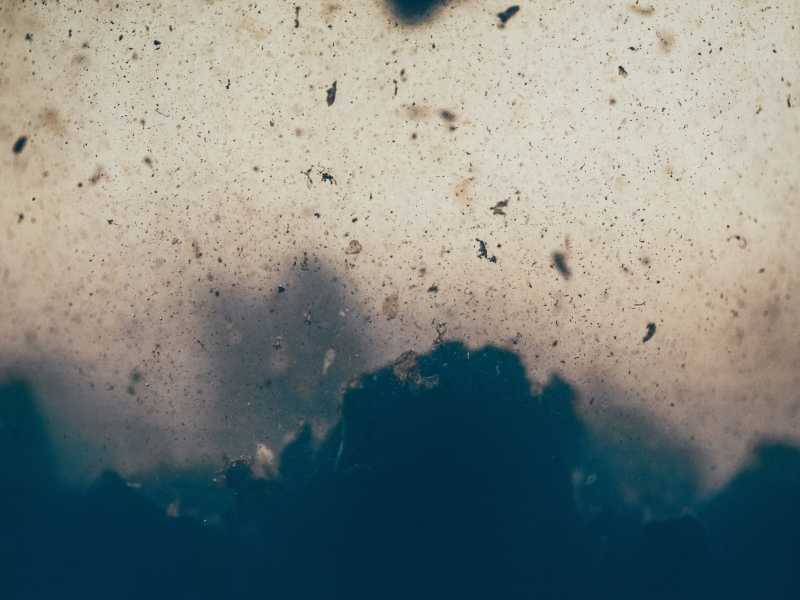 Foto di camilo jimenez su Unsplash <br />