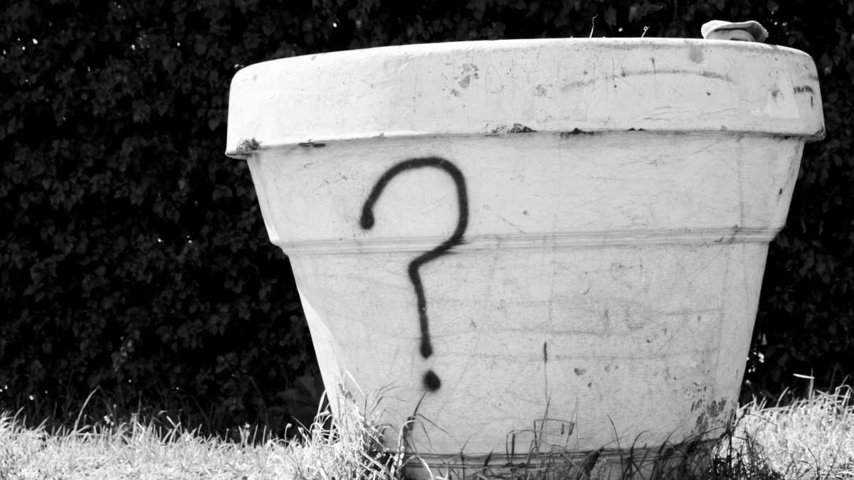 Immagine di Le domande dei bambini che meritano una risposta onesta