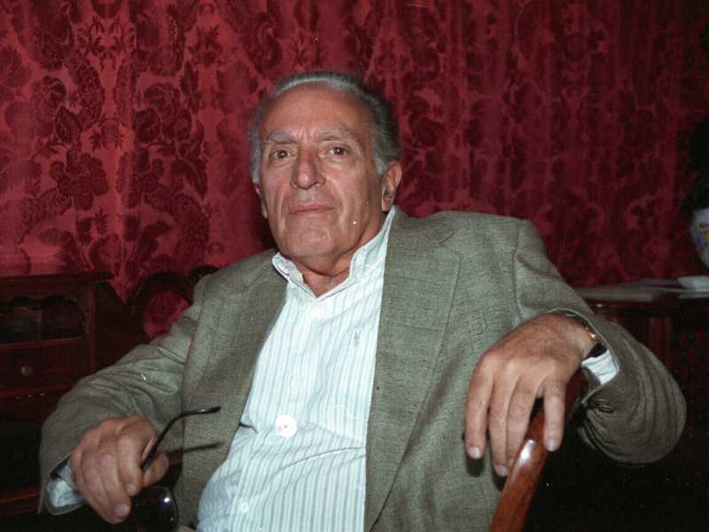 Luigi Malerba (Ansa)