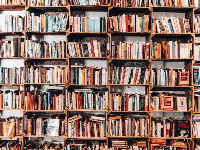 Libri in libertà nell'epoca del fenomeno Wattpad