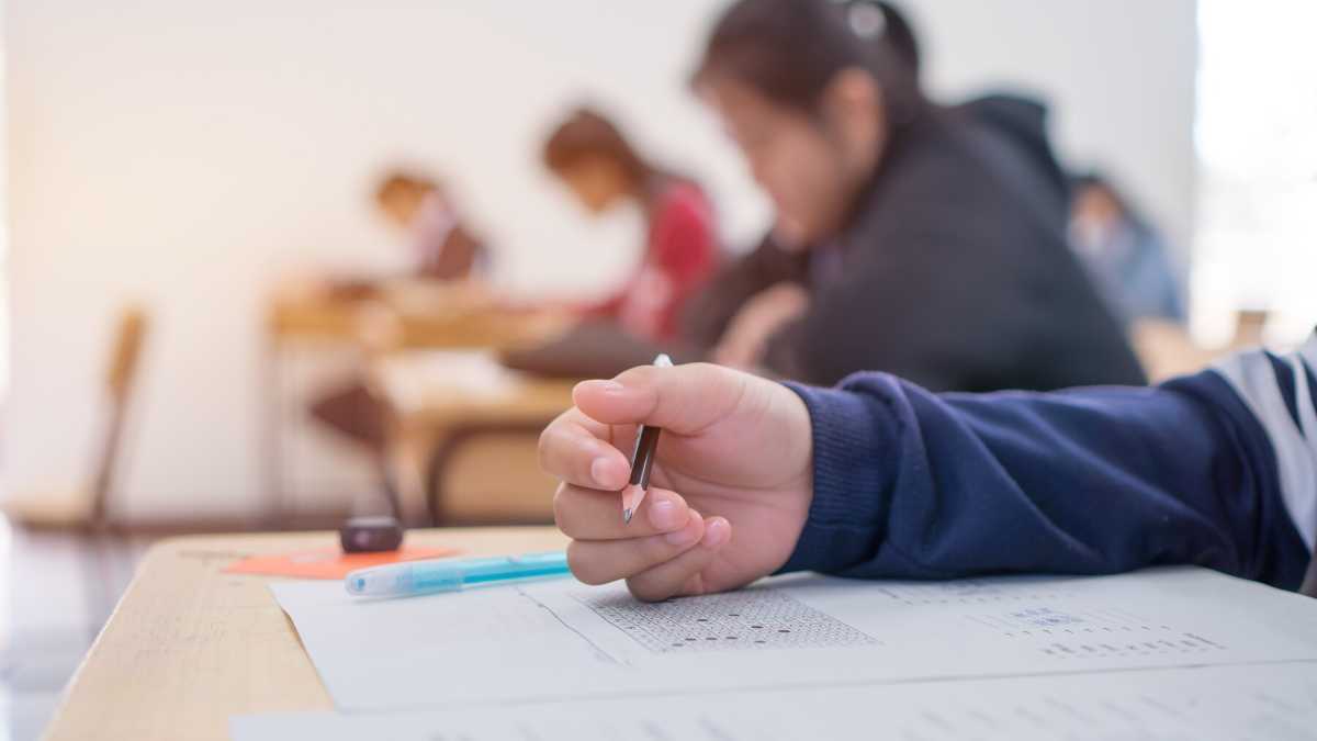 Immagine di Cosa significa davvero l'addio dell'Università di Bologna ai test d'ingresso online