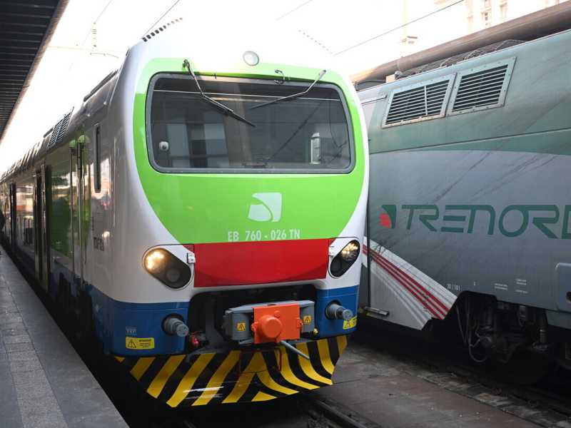 ansa