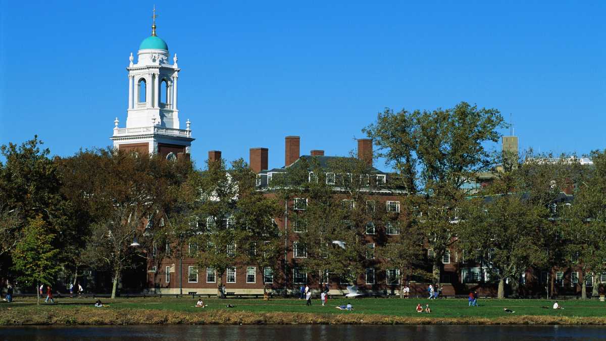 Immagine di Ora ad Harvard calano le domande di iscrizione