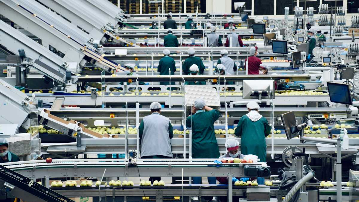Immagine di A febbraio più 41mila occupati, ma il tasso di disoccupazione sale al 7,5 per cento, dice l'Istat