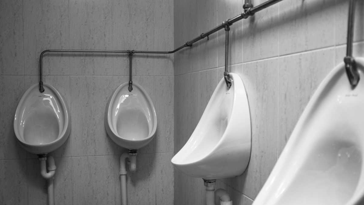 Immagine di La definizione legalmente corretta di "oggetto latrinevole"