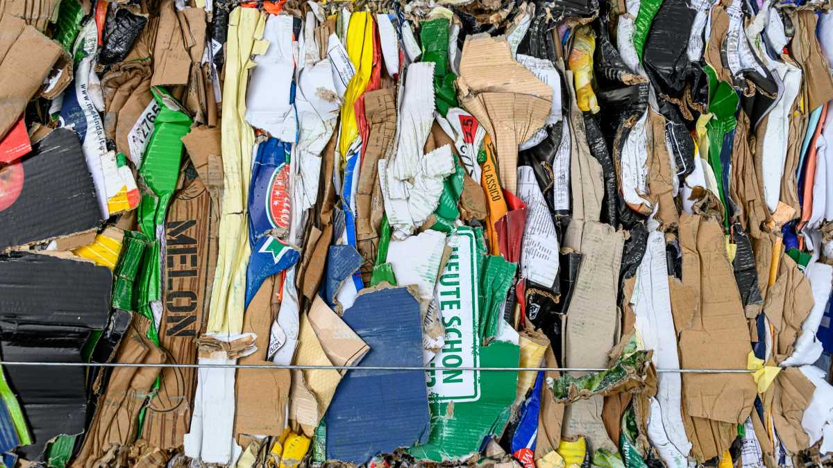Immagine di La sostenibilità nella moda? Meglio se resta uno slogan