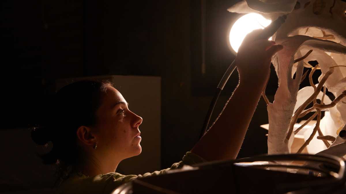 Immagine di Raccogliere le rovine con Camilla Alberti