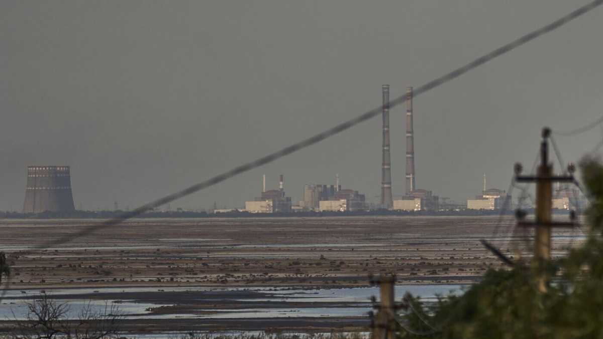 Immagine di Il problema di Zaporizhzhia sono i russi