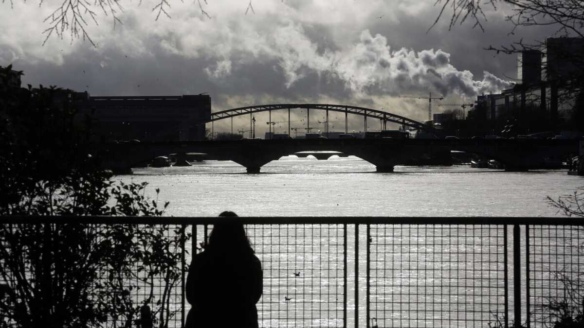 Immagine di L'escherichia coli complica i piani per il nuoto di fondo a Parigi 2024