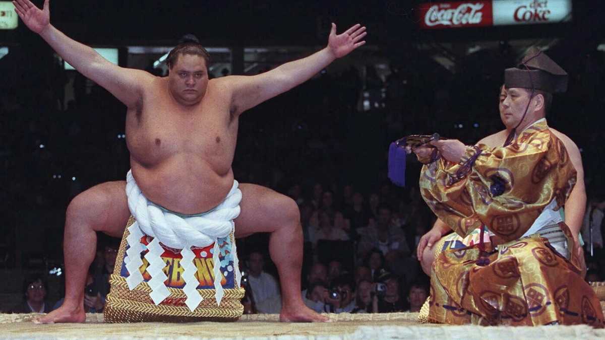 Immagine di L'arte della lotta di Akebono Taro