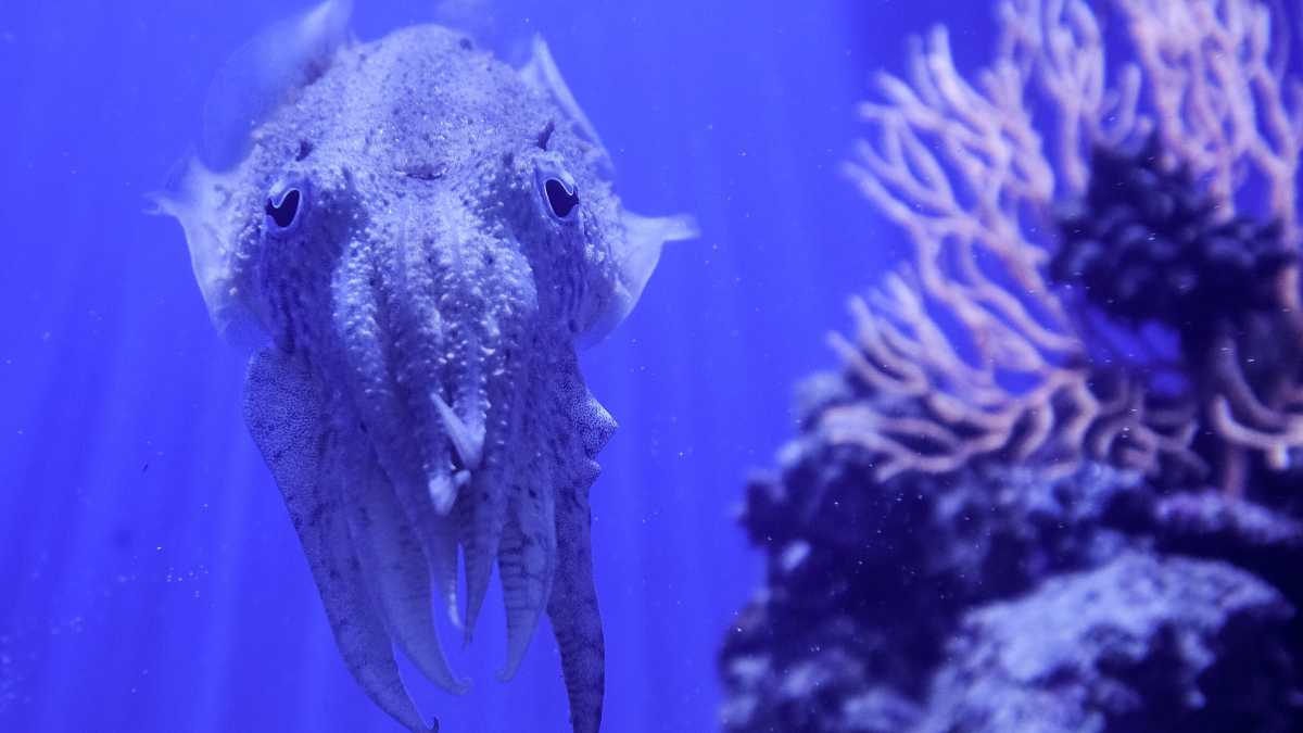 Immagine di Calo della fertilità: quando l'uomo è umiliato è ovvio diventi infecondo