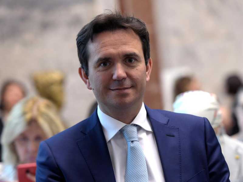 Alessandro Cattaneo (Ansa)