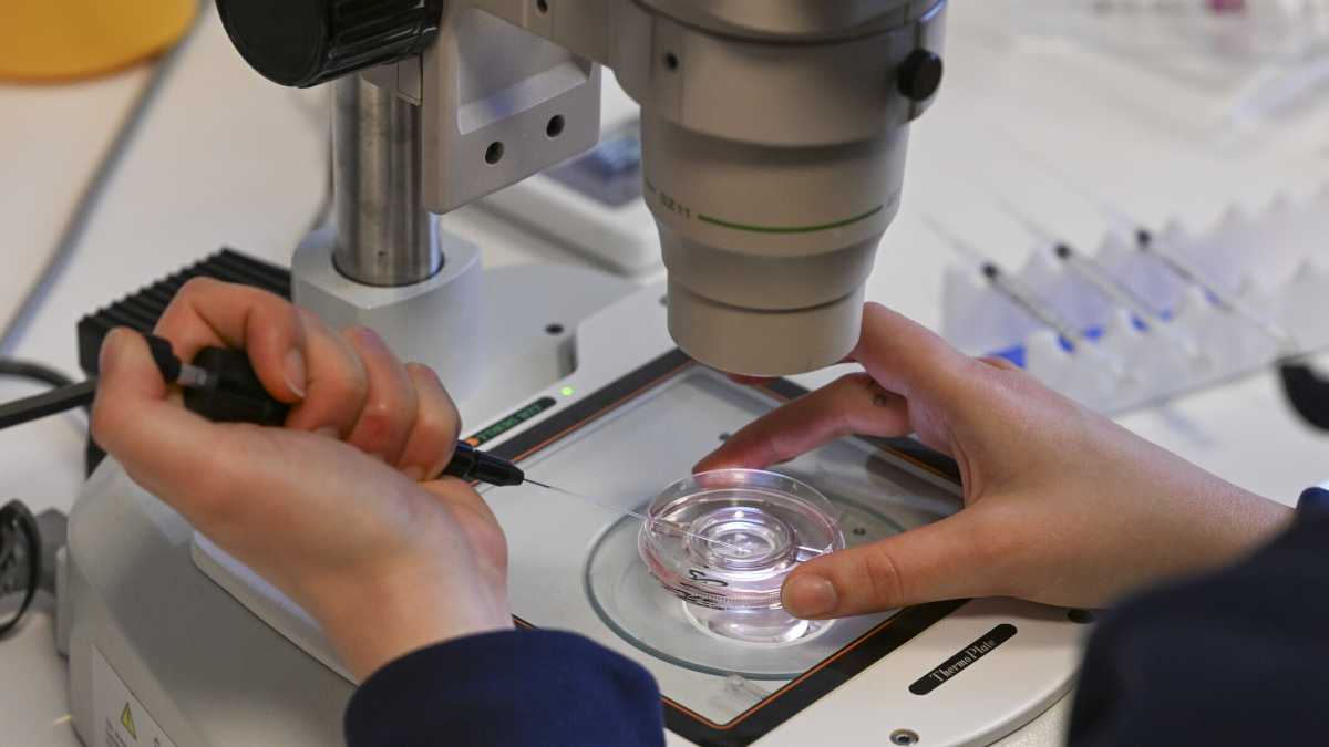 Immagine di La scienza è incerta, e questa è la sua forza
