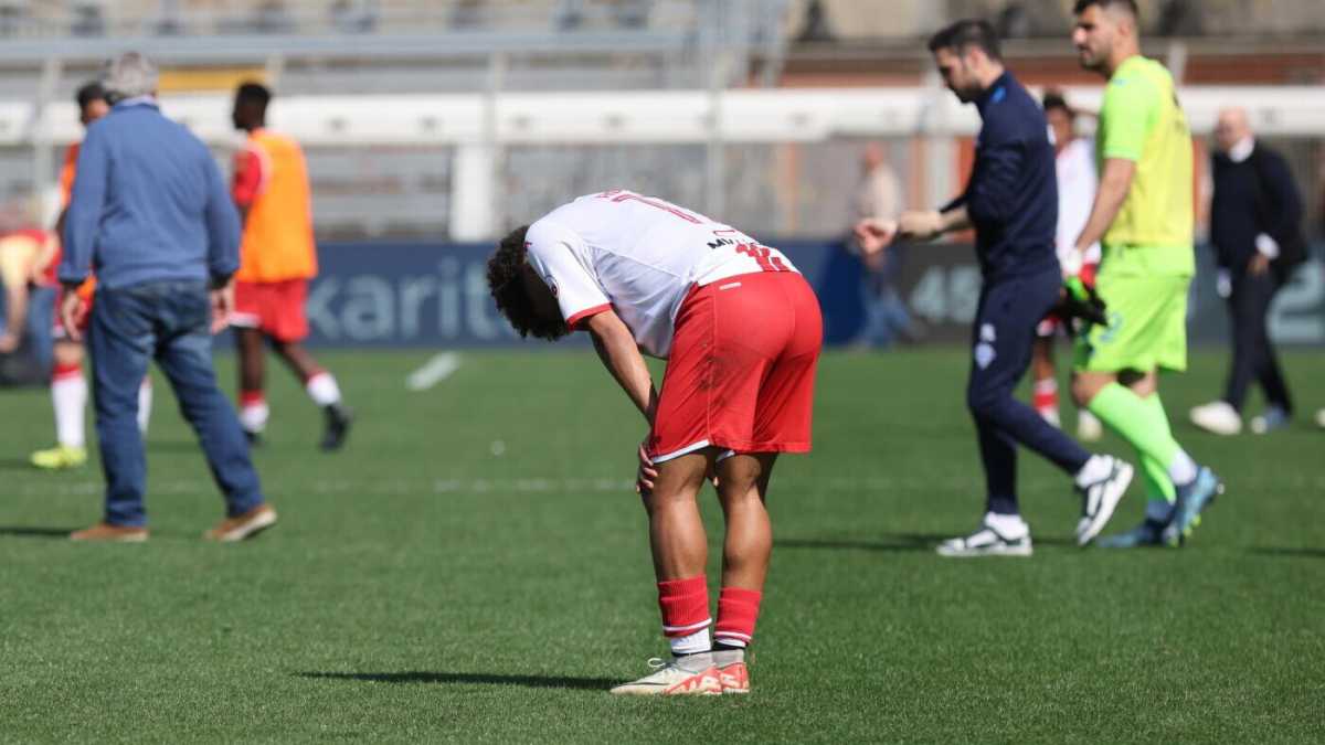 Immagine di Tutti gli errori che hanno ribaltato sogni e prospettive del Bari