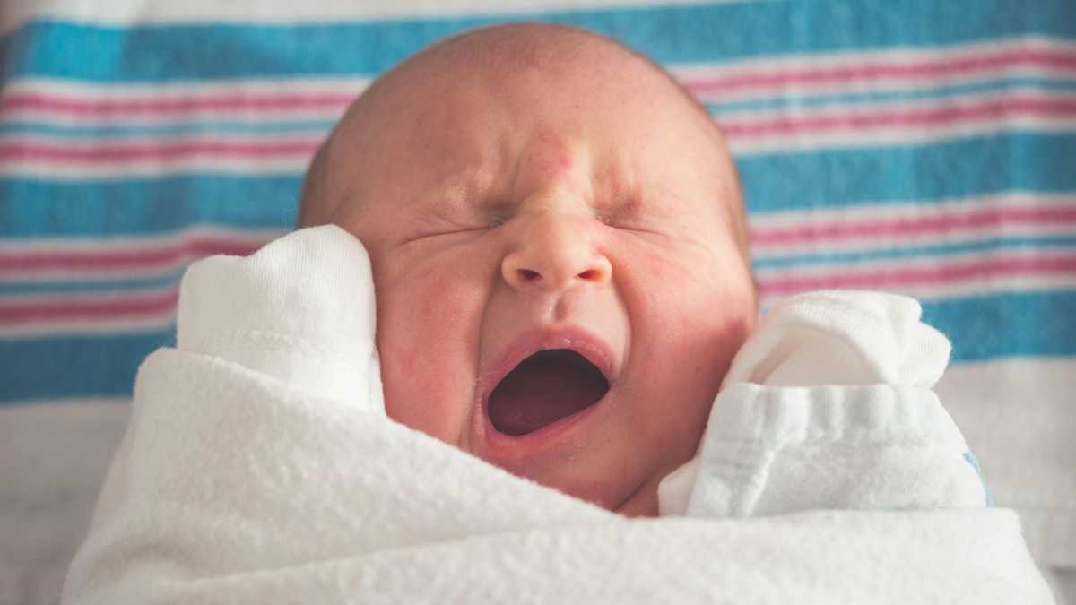 Immagine di Com’è difficile fare figli da Bolzano in giù: le politiche per la natalità dell’Alto Adige