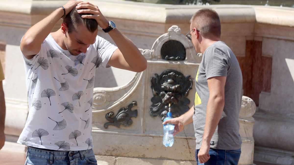 Immagine di Un tram chiamato eco-ansia