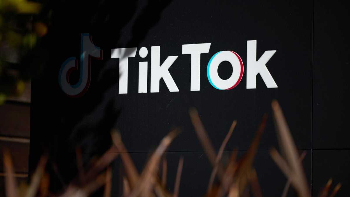 Immagine di L'Ue contro TikTok