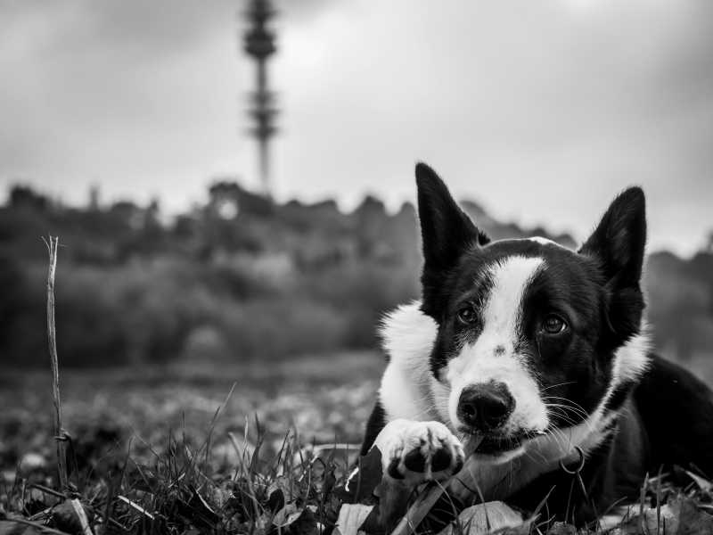 (foto Unsplash)