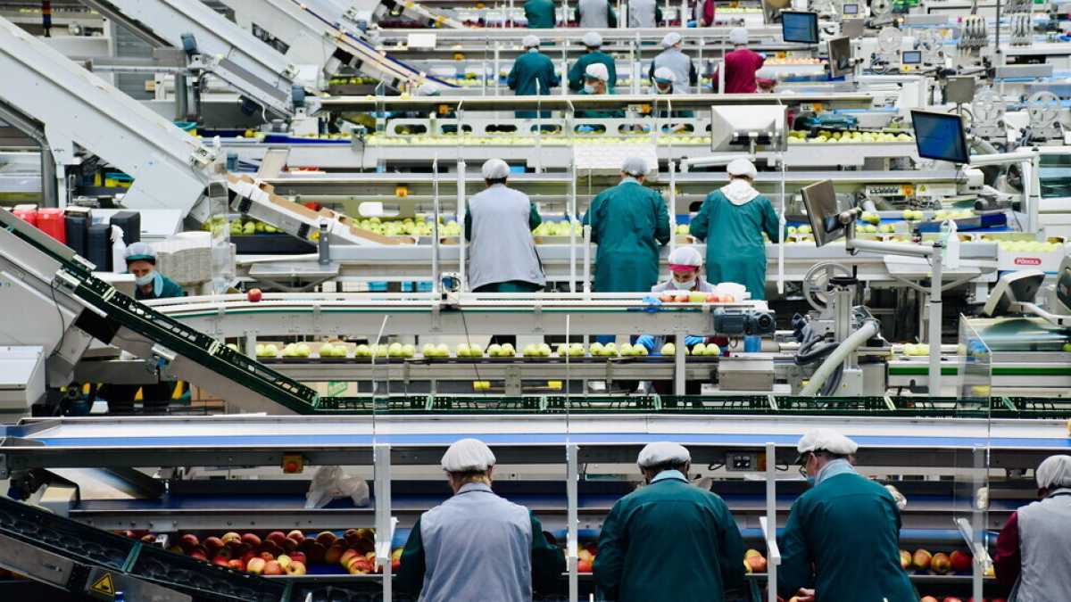 Immagine di I dati dell’Istat sull'occupazione smentiscono le bugie diffuse dalla Cgil il Primo maggio