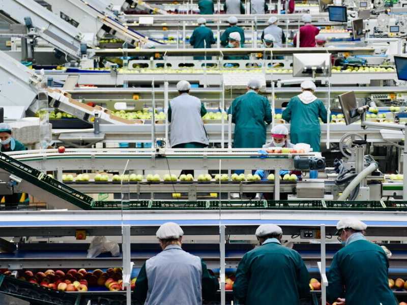 I dati dell’Istat sull'occupazione smentiscono le bugie diffuse dalla Cgil il Primo maggio