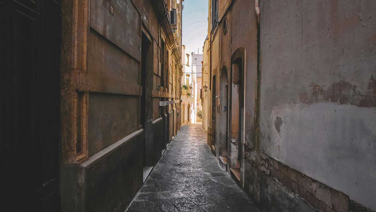 Immagine di Un romanzo perfetto: “Ritorno in Puglia” di Ferrante