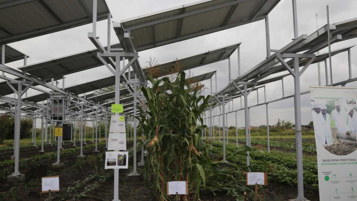 Immagine di Zone agricole “sovrane”: Lollobrigida vuole vietare il fotovoltaico