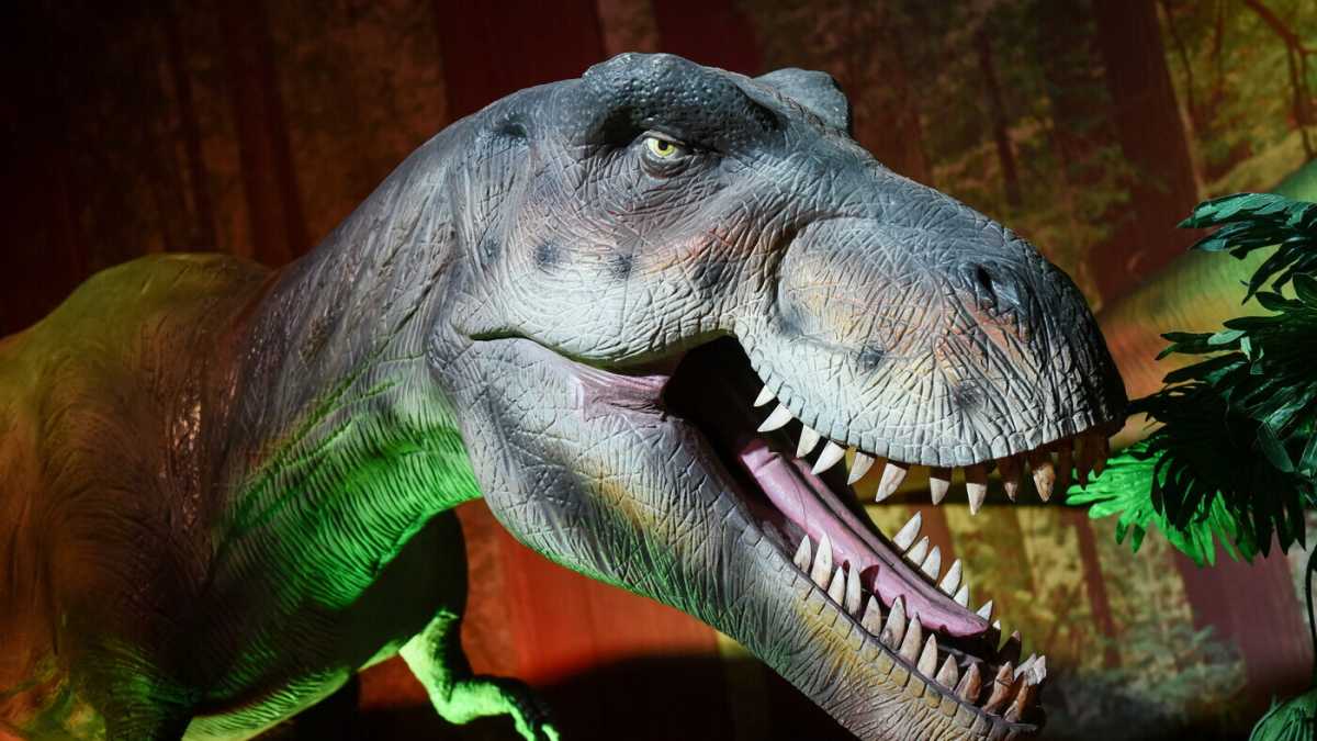 Immagine di Siamo tutti un po' dinosauri