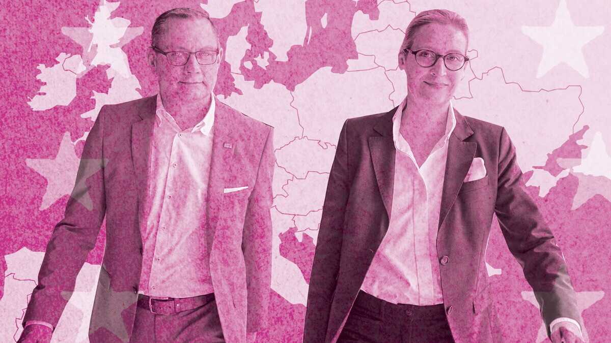 Immagine di Il tracollo dell’Afd, tra scandali e soldi russi e cinesi