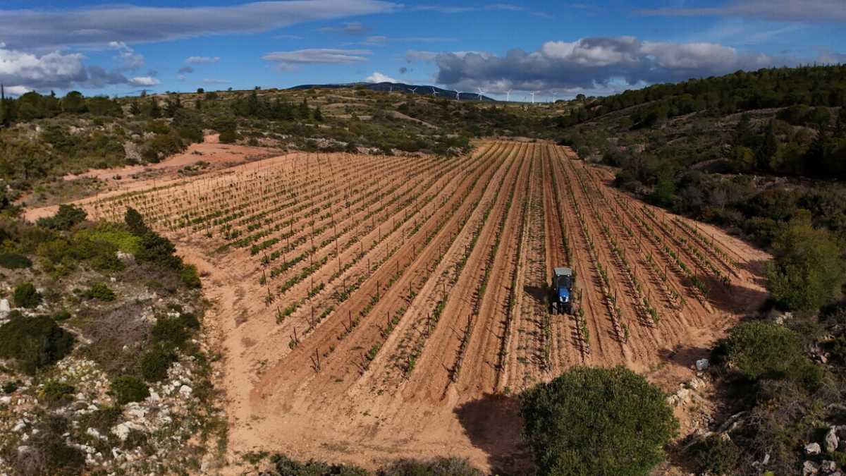 Immagine di Il governo coltiva il consenso degli agricoltori a colpi di sconti fiscali