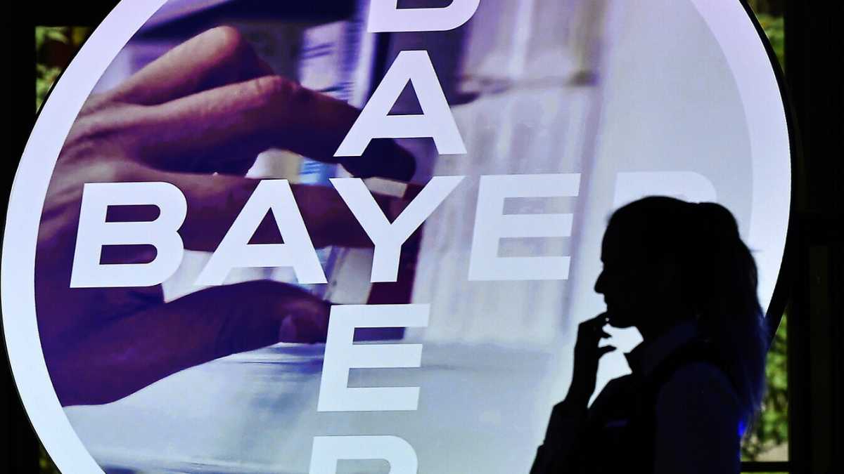 Immagine di Bayer ride, Bayer piange