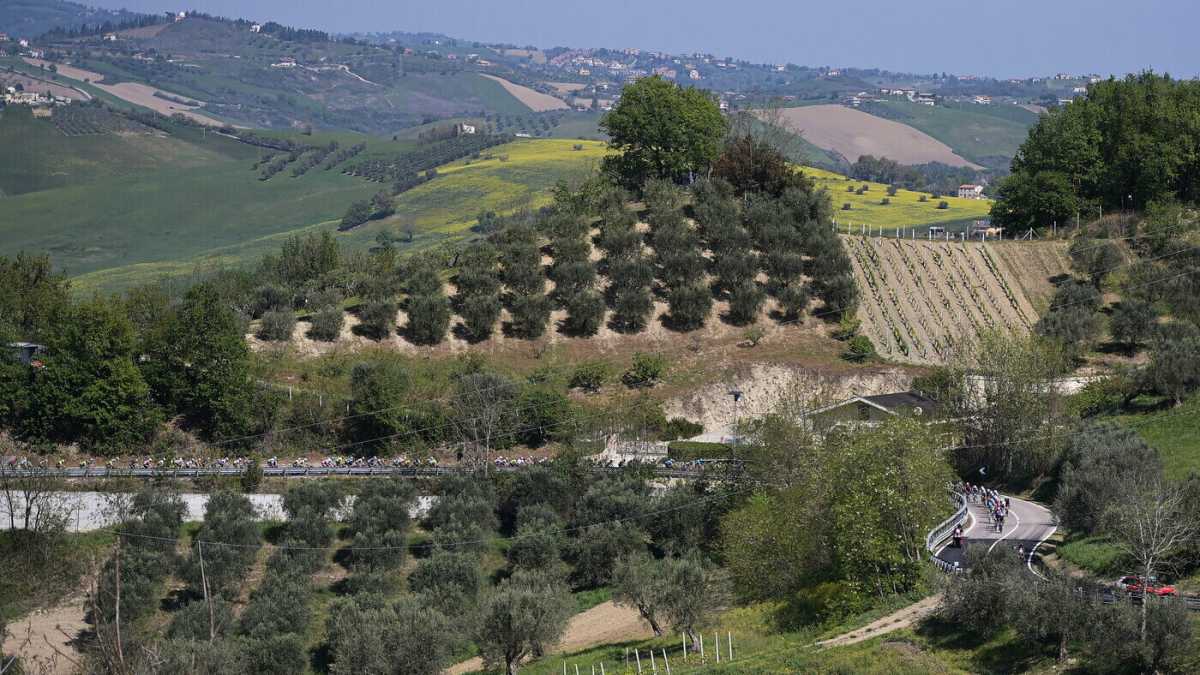 Immagine di Il Giro d'Italia tra centerbe, camosci, genziane e un’effimera Maglia rosa